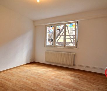 Location Appartement 1 pièce 42m² BARR 67140 - Photo 2