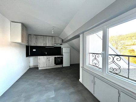 Appartement 2 pièces à Le Syndicat - Photo 4