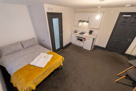 Studio Flat, Hallewell Road, B16 - Photo 3