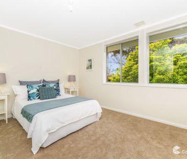 84 Serpentine Street, Duffy ACT 2611 - House For Rent | Domain - Photo 3