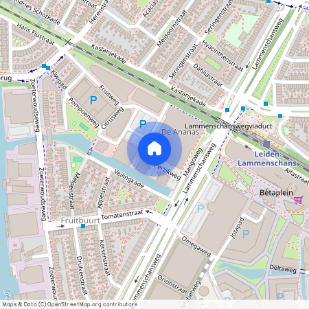 Perzikweg 8, 2321DG, Leiden