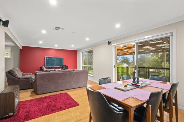 Sunny Spacious Family Home - Photo 1