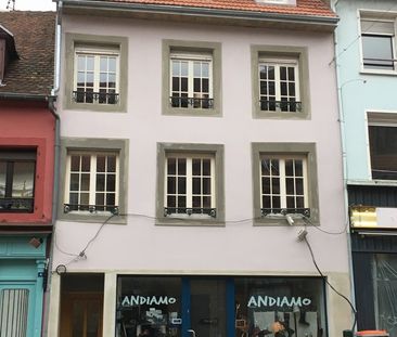 Location Appartement 2 pièces 47m² SARREGUEMINES 57200 - Photo 3