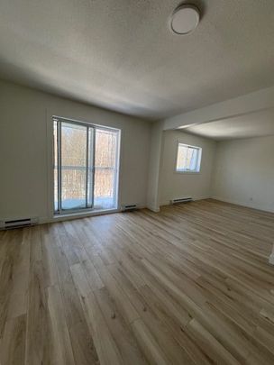 300#12 St-Maurice Trois-Rivières - Photo 1