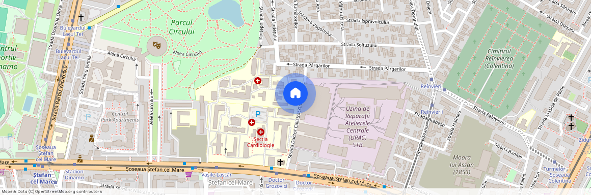 Stefan cel Mare, Bucuresti