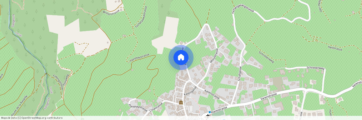 Mulingstrasse 49, 3970 Salgesch