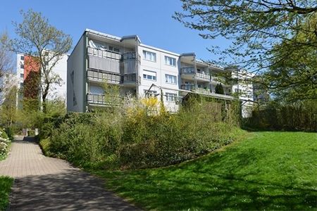 Greifensee La zone de loisirs locale - Photo 5