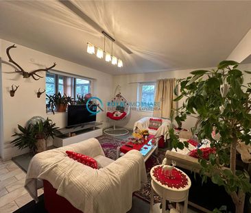 Royal Imobiliare Inchirieri Vile Paulesti - Photo 3