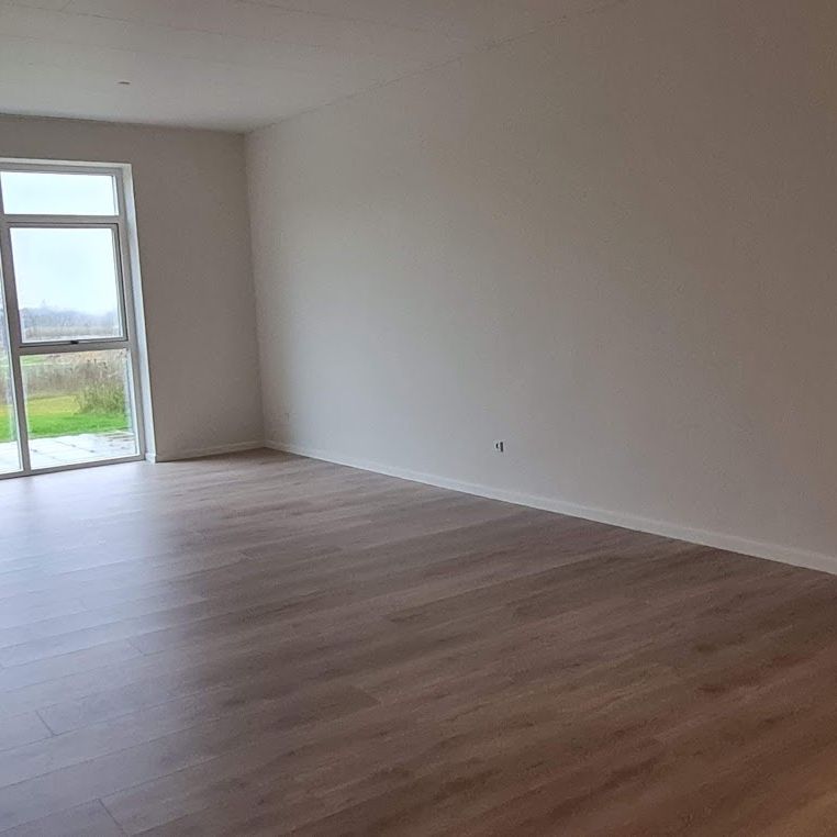Stort og skønt rækkehus tæt på skov og å - Photo 1