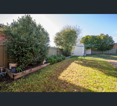 64 Paterson Road, Shepparton, Vic 3630 - Photo 3