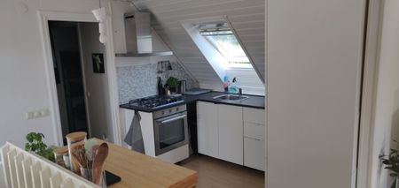 Lupinvägen, Hässelby - Photo 4