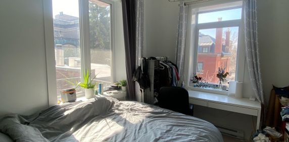 McGill Area - Superb 5 1/2 Furnished - Photo 2