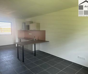 Location Appartement 2 pièces 45m² CAYENNE 97300 - Photo 3