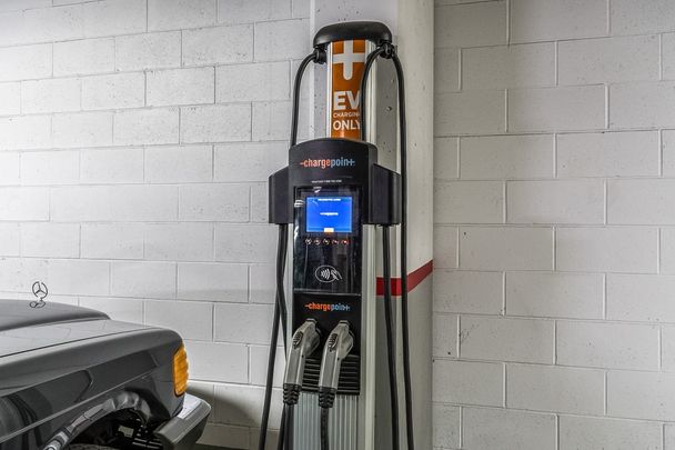 The Lauren - Photo 1