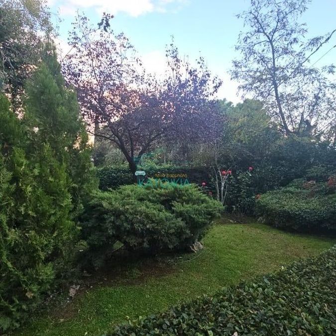 Μεζονέτα για ενοικίαση Ελευθερίας (Παλαιό Ψυχικό) - Photo 1