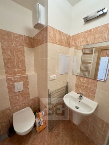 Apartment for rent, 1+KK - Studio, 32m - Fotografie 4