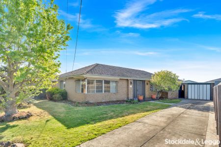 “Freshly Renovated & Ready to Impress!” - Photo 3