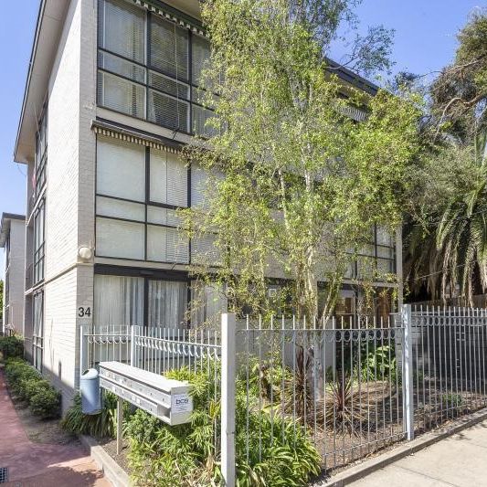 1/34 Cromwell Rd, South Yarra VIC 3141 - Apartment For Rent | Domain - Photo 1