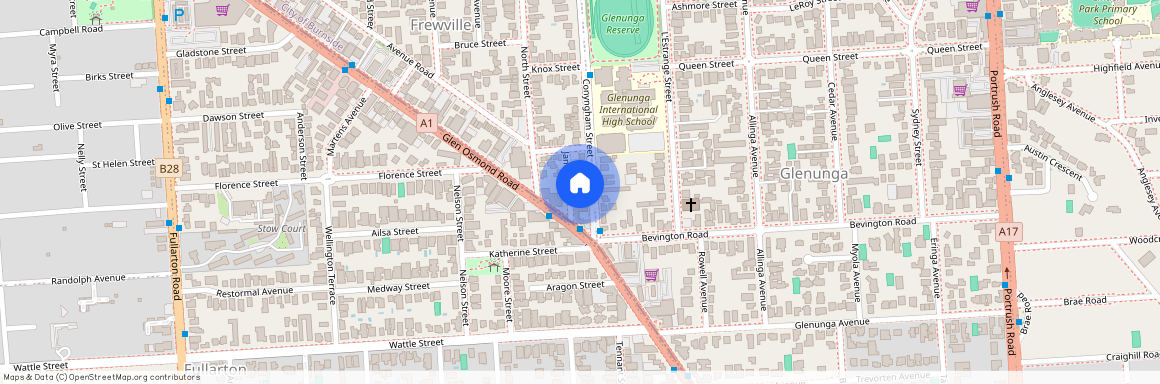 115 Conyngham St, SA 5063, Frewville