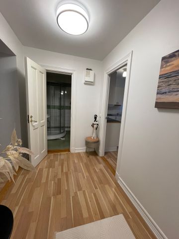 Karl Gustavsgatan, Göteborg - Photo 5