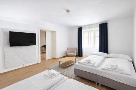 Altbau Mietwohnung 1010 Wien, Nähe Stephansplatz - Photo 3