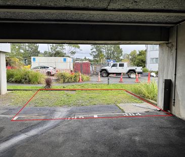 Be First to Live Here! Freshly Renovated 3 Bedroom Apartment - Photo 3