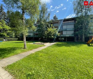 Modernes Wohnen im Holzhaus mit Küche! - Photo 3