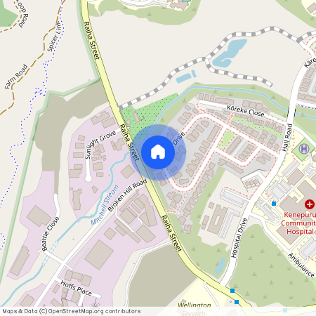 56 Hokioi Drive, Kenepuru