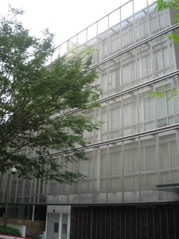 Holland Mews (D10), Apartment - For Rent - Photo 4