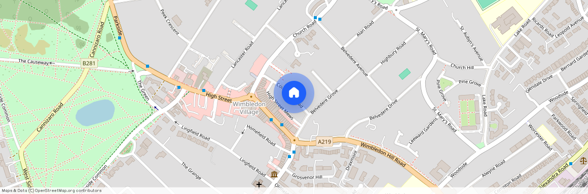 Courthope Road, Wimbledon Village, SW19