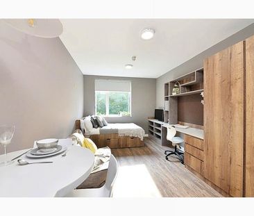 Classic Studio Plus - Photo 3