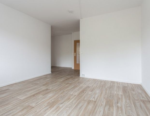 Die schönste Fassade der Stadt! Reinschauen und tolle 3-Raumwhg. entdecken! - Photo 1