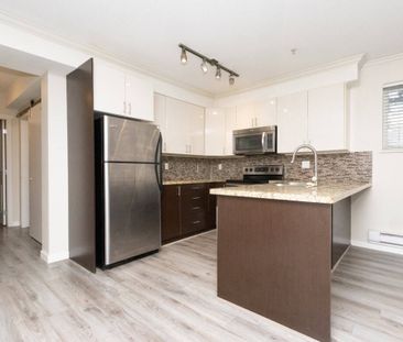 38-13239 Old Yale Road, Surrey - Photo 4