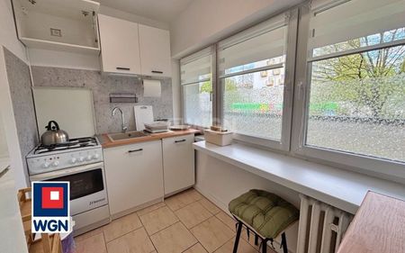 Mieszkanie na wynajem Szczecin - 2 pokoje 40m2|Centrum|loggia|wysoki parter|przy Galaxy - Photo 2