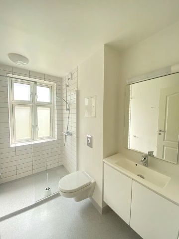 Rummelig lejlighed med fransk altan i Aalborgs hjerte - Foto 2