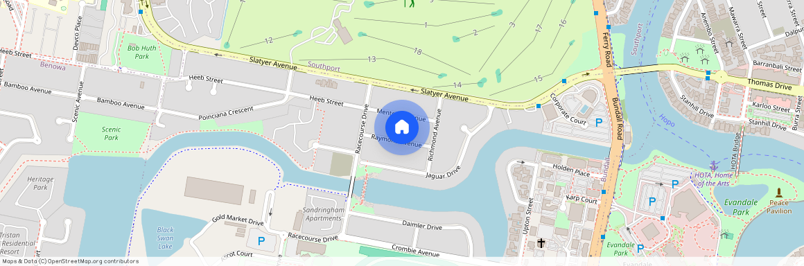 13 Raymond Avenue, Qld 4217, Bundall