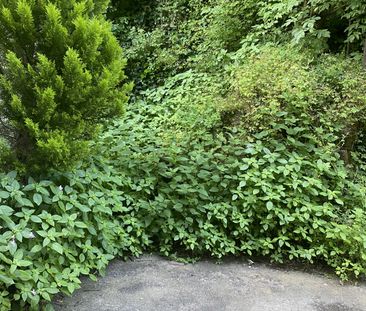 Location Appartement 1 pièce 21m² ST AVERTIN 37550 - Photo 5