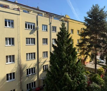 Pronájem bytu 1+kk • 23 m² bez realitkyPatočkova, Praha - Břevnov - Photo 6