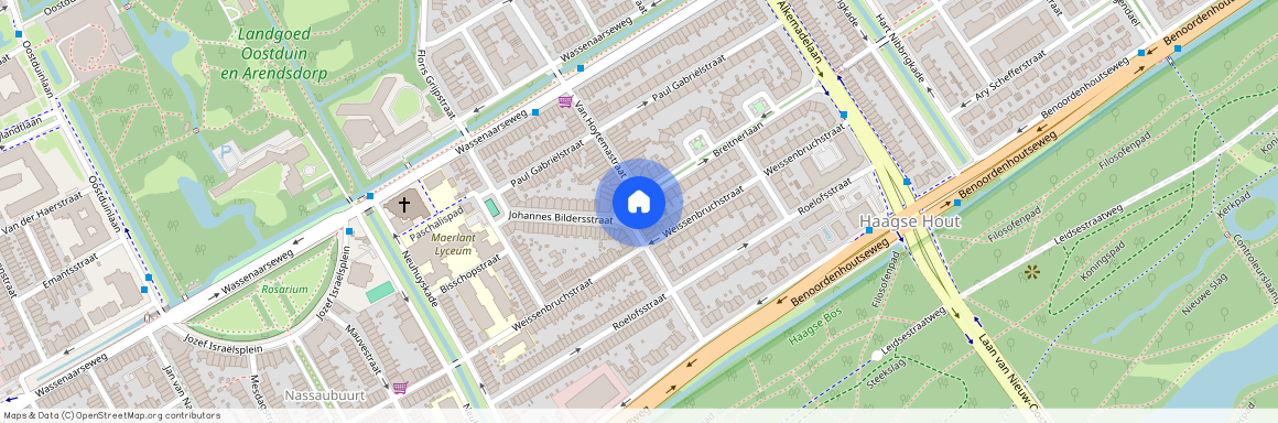 Van Hoytemastraat en omgeving, 2596 GV, Breitnerlaan, Den Haag