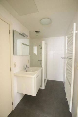 Gelijkvloersappartement met 1 slaapkamer - Foto 5