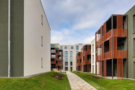 Lebensqualität im Neubaugebiet "Grünheide" - Stadtnah wohnen - im Grünen leben! - Photo 2