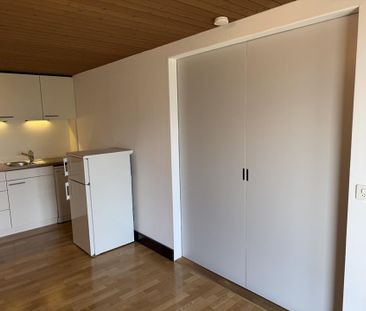 Charmante 2.Zimmer-Wohnung mit herrlicher Aussicht auf See und Berge - Photo 1