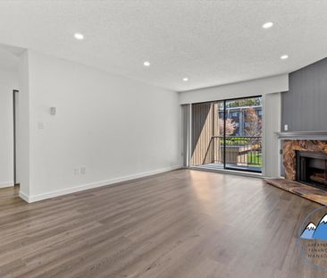 Property Details - Photo 2