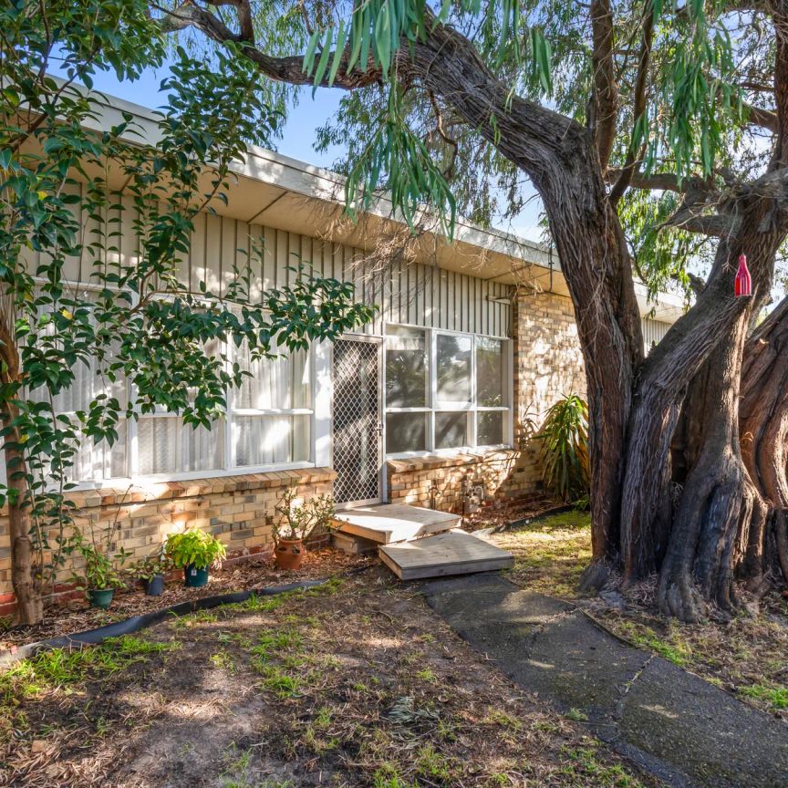 Modern One-Bedroom Unit with Private Outdoor Spaces - Photo 1