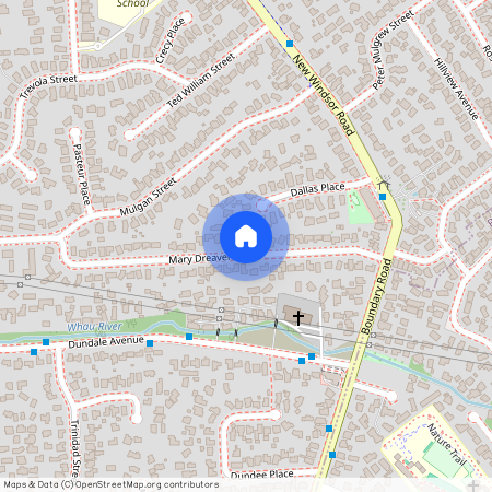 29 Mary Dreaver St, New Windsor, Auckland City