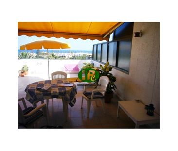 Beautiful bungalow with 1 bedroom, sea view and a very large terrace - Photo 3