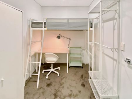 156 Maroubra Rd, Sydney - Photo 4