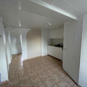 Location Appartement 1 pièce 19m² GRENOBLE 38000 - Photo 2