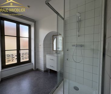 Location Appartement 3 pièces 70m² CHARLIEU 42190 - Photo 6