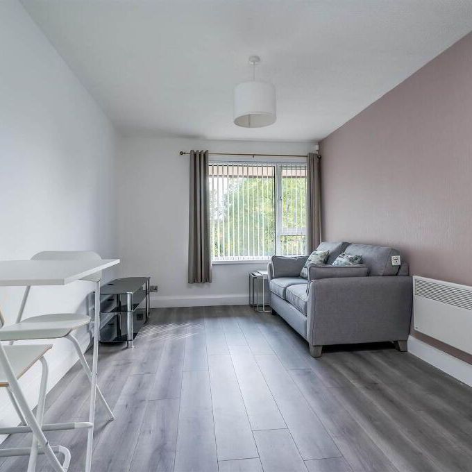 6 Rugby Court, Belfast, BT7 1PN - Photo 1